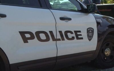 Anciano y un perro mueren luego de ser atropellados por la esposa