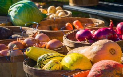 RI entregará 5,000 tarjetas de beneficios alimentarios a residentes elegibles.