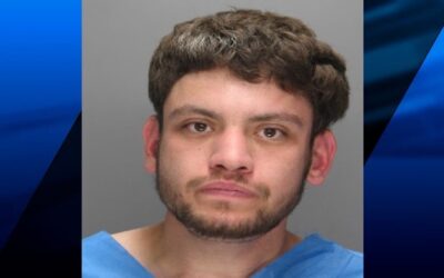 Policía Warwick arresta a hombre luego de encontrar animales muertos en su vivienda.