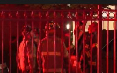 Bomberos rescatan a perro de incendio en Providence.