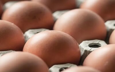 Brote de salmonela vinculado a huevos enferma a decenas de personas en siete estados de EE.UU.