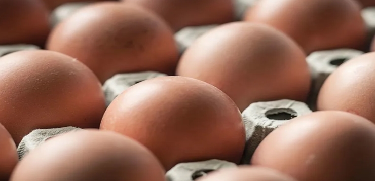 Brote de salmonela vinculado a huevos enferma a decenas de personas en siete estados de EE.UU.