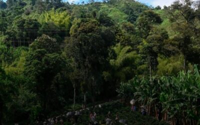 El consumo habitual de café podría ser clave para una vida más larga y sana, según un nuevo estudio