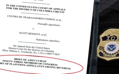 Demócratas piden a tribunal bloquear acuerdo de IRS para compartir datos de inmigrantes con ICE