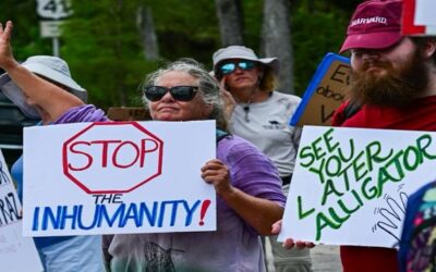 Legisladores denuncian que hay 750 migrantes en jaulas en el ‘Alligator Alcatraz’ de EEUU