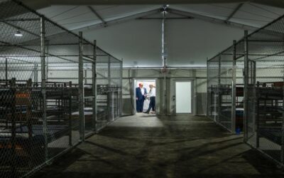 Jueza frena la construcción del centro migratorio Alligator Alcatraz por demanda ambiental