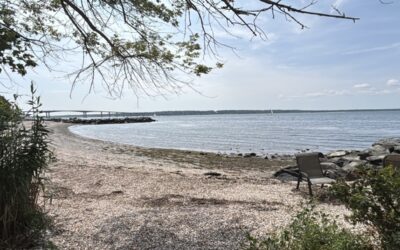 Autoridades investigan hallazgo de un cuerpo en la costa de Jamestown.