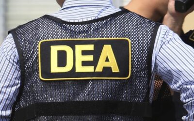 En Providence, agentes DEA arrestan a dos hermanos e incautan drogas