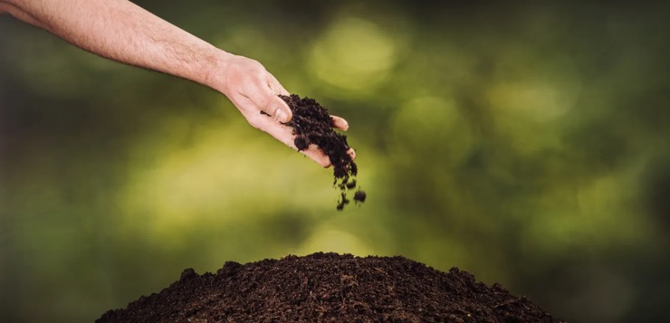 Los funerales ecológicos están en auge: ¿de qué se tratan?