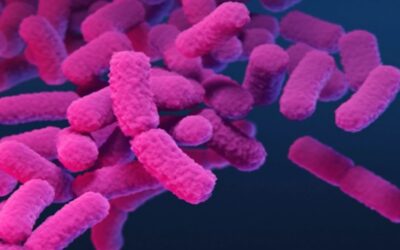 Comunidad médica alerta que casos de “bacterias de pesadilla” están aumentando significativamente