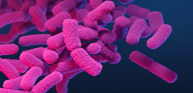 Comunidad médica alerta que casos de “bacterias de pesadilla” están aumentando significativamente
