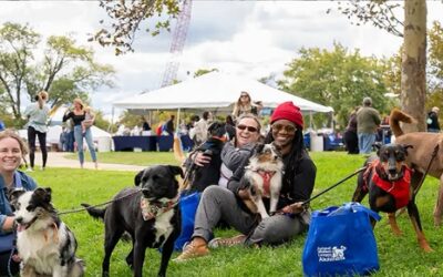 RISPCA realiza evento recaudación fondos “Paws in the Park” edición anual 23.