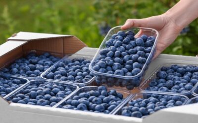 Conoce una fruta común que fortalece el sistema inmunológico de los bebés