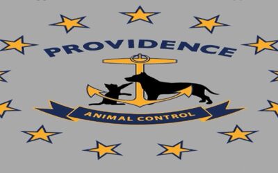 Agente Control de Animales Providence acusado de agredir a detective durante allanamiento por narcóticos.