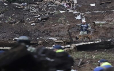 México eleva a 76 fallecidos y baja a 39 desaparecidos por lluvias intensas en 5 estados