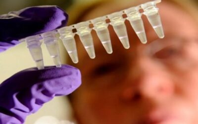 ¿Adiós a las biopsias de tejidos? La saliva puede actuar como predictor del cáncer de cabeza y cuello