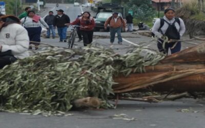 Marchas a favor y en contra del gobierno de Noboa coinciden en Quito, en medio de paro indígena