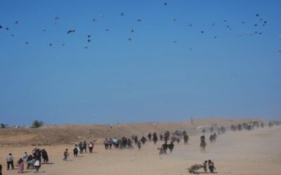 Palestinos vuelven a una Gaza irreconocible tras alto el fuego mediado por EEUU