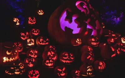 Roger Williams Park Zoo cancela Jack-O-Lantern Spectacular de hoy Domingo, por mal tiempo.