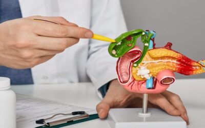 Un órgano diminuto puede necesitar tu atención: dónde se ubica la vesícula biliar, cómo funciona y puede afectarnos