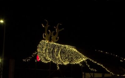Big Blue Bug listo para la temporada navideña con las tradicionales luces.
