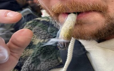 Cada vez más gente está enganchada al consumo diario de marihuana en EE.UU.