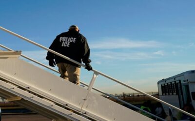 Sindicato de servicios pide a 4 aerolíneas terminar contratos con ICE para deportaciones