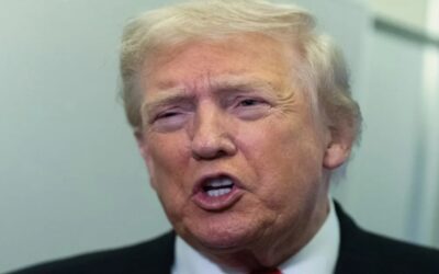 Trump advierte que las redadas del ICE aún “no han ido lo suficientemente lejos”