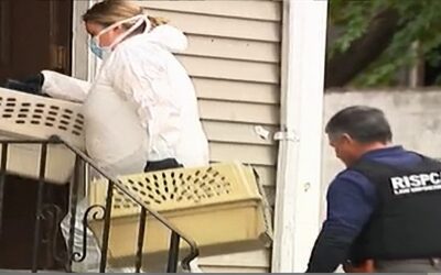 RISPCA incauta 40 animales de apartamento en Central Falls en conexión con muerte sospechosa.