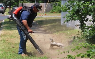 Concejales Providence aprueban ordenanza que prohíbe uso sopladoras hojas a gasolina.