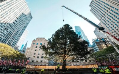 Árbol de Navidad del Centro Rockefeller llega a Manhattan, iniciando la temporada festiva en NY