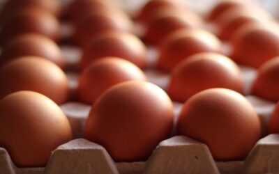 Ya el dilema no es si primero fue el huevo o la gallina, ahora es: ¿conservar los huevos en la nevera o fuera?