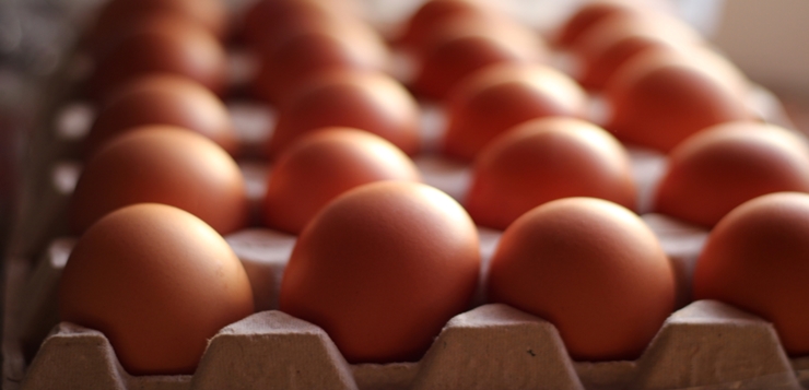 Ya el dilema no es si primero fue el huevo o la gallina, ahora es: ¿conservar los huevos en la nevera o fuera?