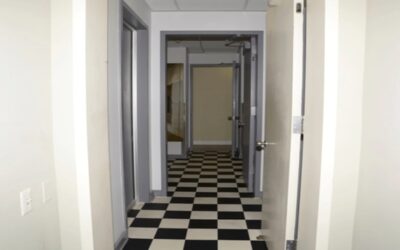 Desaparecen documentos de Epstein del sitio web del gobierno de EEUU