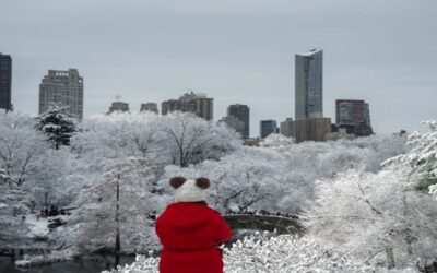 Una tormenta invernal azotará Nueva York, Nueva Jersey y Connecticut este fin de semana