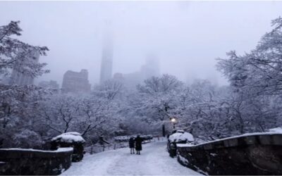 La ciudad de Nueva York podría registrar la mayor nevada en varios años por tormenta que azotará el noreste tras festividades