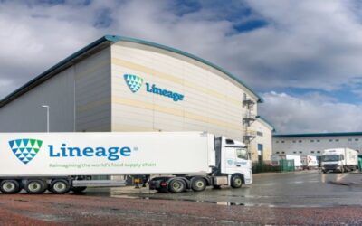 Roban miles de dólares en langostas vivas.