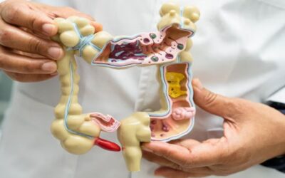 ¿Qué es el microbioma intestinal y por qué es clave para tu salud?