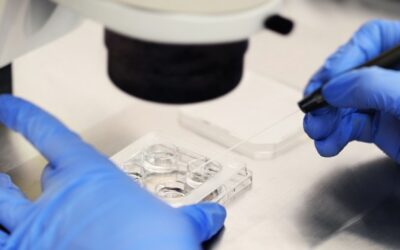 Nueva realidad de la maternidad soltera: fertilización in vitro marca récord en número de madres mayores de 40 años