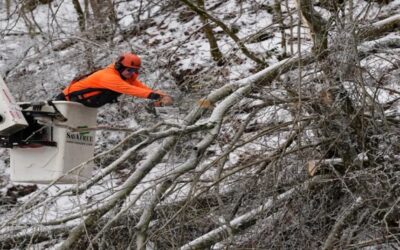 Nieve azota las Carolinas y bajas temperaturas agravan cortes de energía en otros lugares de EEUU