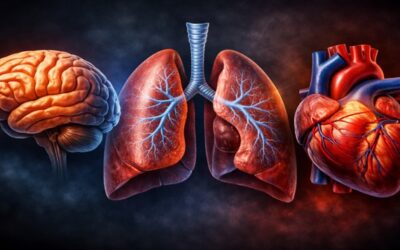 Qué le hace la marihuana a tu cuerpo: efectos reales en cerebro, corazón y pulmones