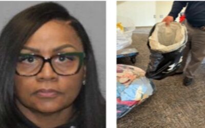 Mujer acusada de robar miles de dólares de tiendas de Nueva Inglaterra.