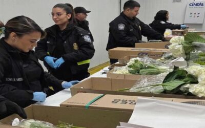 Millones de flores pasan por aeropuerto de Miami para Día de San Valentín