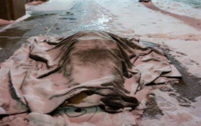 Hombre encontrado muerto en Providence había sido reportado desaparecido en Narragansett.