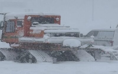 Hallan muertos a ocho esquiadores y uno más está desaparecido tras avalancha en California.