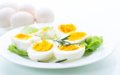 ¿El huevo es el mejor proveedor de proteínas?