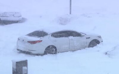Cientos de vehículos remolcados y multas en Providence.