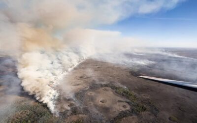Incendio en los Everglades supera las 10.400 hectáreas y amenaza viviendas en Florida.