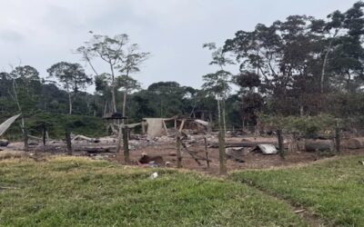 Ecuador y EE.UU. destruyen un campamento de grupo disidente de las FARC cerca de Colombia.