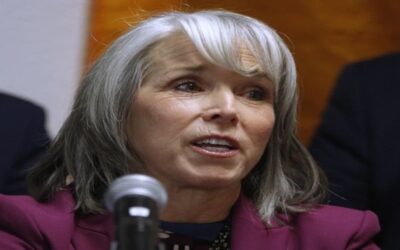 EEUU: Estados con gobiernos demócratas buscan proteger centros de votación durante elecciones